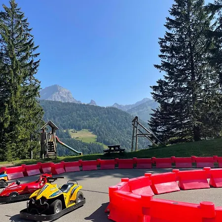 Asters B1 A 5 Personnes Emplacement Ideal Vue Sur Les Montagnes Gryon