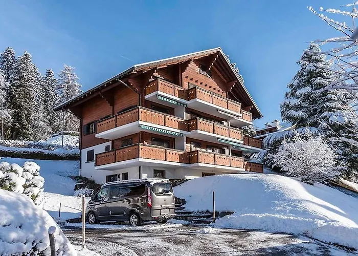 Asters B1 A 5 Personnes Emplacement Ideal Vue Sur Les Montagnes * Gryon