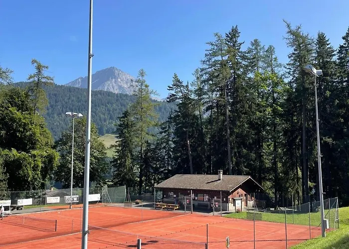 Asters B1 A 5 Personnes Emplacement Ideal Vue Sur Les Montagnes Apartament Gryon